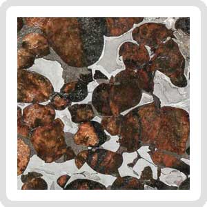 Sericho Pallasite Meteorite
