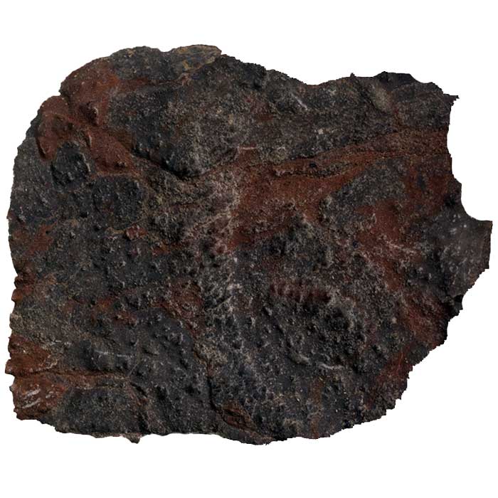 Meteorite Identification Black Slate Rock