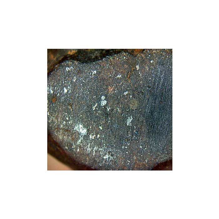 Meteorite Identification Meteorite With Metal Grains