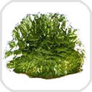 Moldavite For Sale