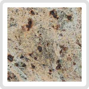 NWA 11901 Lodranite Meteorite