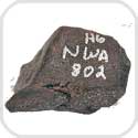 NWA 802 Meteorite H6