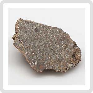NWA - 8384 LL3 Meteorite