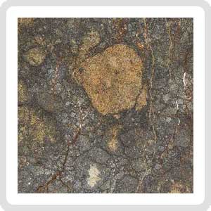 NWA 8655 LL5 melt breccia Meteorite