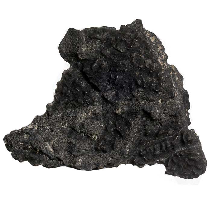 Meteorite Identification Black Limestone