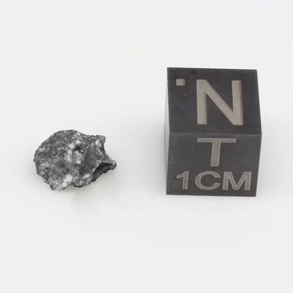 Tiglit Meteorite 0.42g