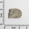 NWA 12241 Martian Meteorite 0.81g