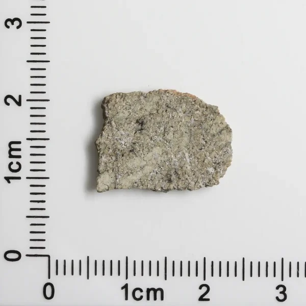NWA 12241 Martian Meteorite 0.81g