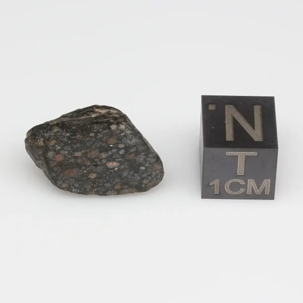NWA 14316 CM2 Meteorite 2.9g Windowed