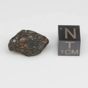 NWA 14316 CM2 Meteorite 3.0g Windowed