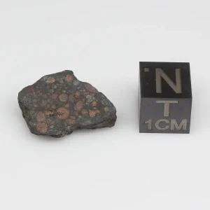 NWA 14316 CM2 Meteorite 2.5g Windowed