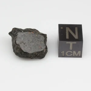 NWA 14316 CM2 Meteorite 3.5g Windowed