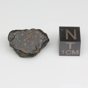 NWA 14316 CM2 Meteorite 3.8g Windowed