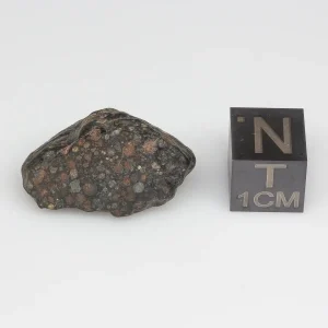 NWA 14316 CM2 Meteorite 5.5g Windowed