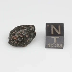 NWA 14316 CM2 Meteorite 2.9g