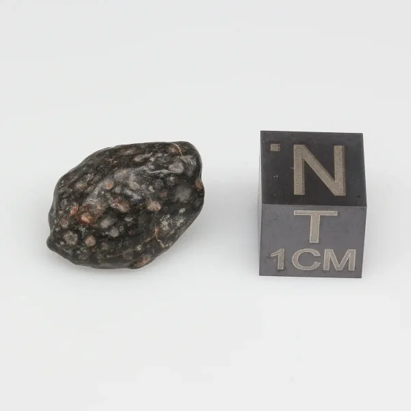 NWA 14316 CM2 Meteorite 2.9g