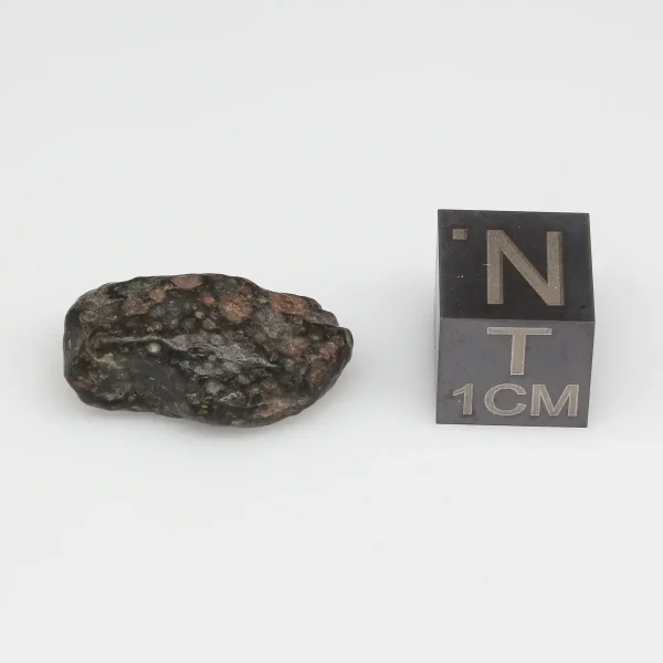 NWA 14316 CM2 Meteorite 2.6g