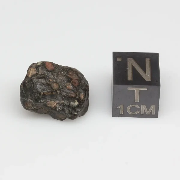NWA 14316 CM2 Meteorite 3.0g