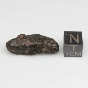 NWA 14316 CM2 Meteorite 4.8g