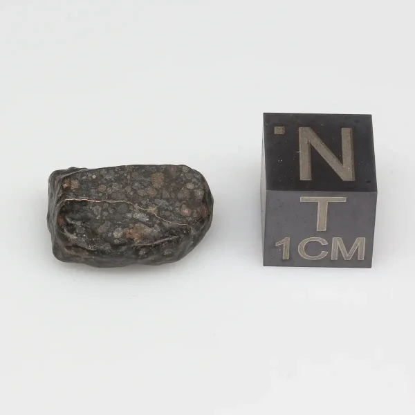 NWA 14316 CM2 Meteorite 2.1g Windowed