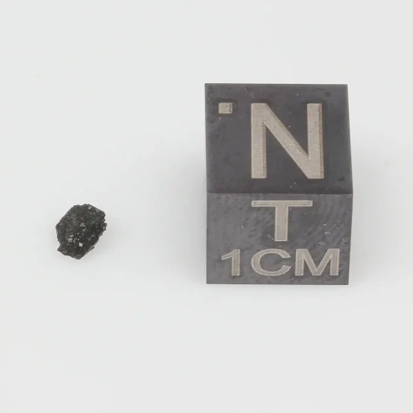 Aguas Zarcas CM2 Meteorite 0.03g