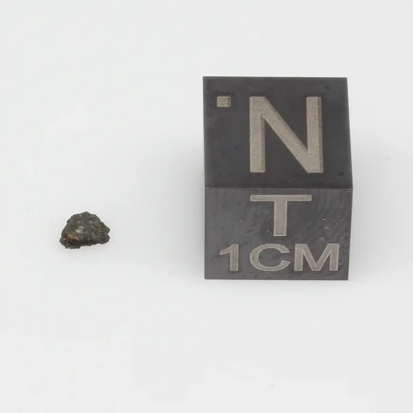 Aguas Zarcas CM2 Meteorite 0.01g