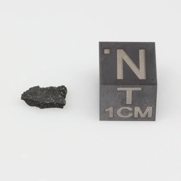 Aguas Zarcas CM2 Meteorite 0.11g