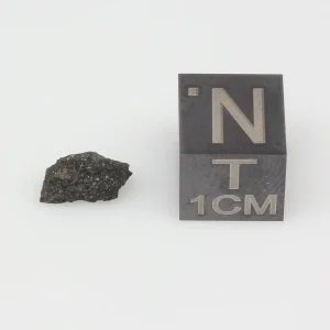 Aguas Zarcas CM2 Meteorite 0.17g
