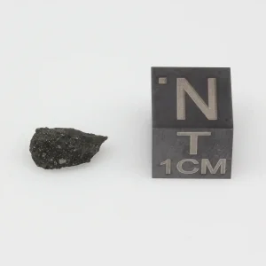 Aguas Zarcas CM2 Meteorite 0.23g