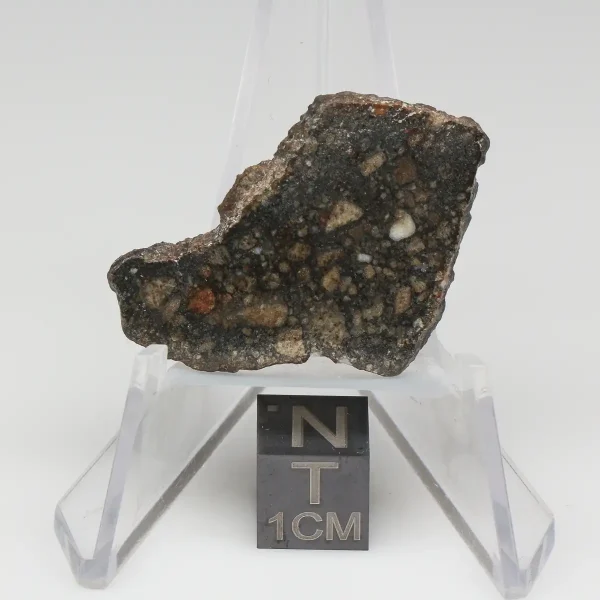 NWA 10964 Lunar Meteorite 3.97g