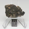 NWA 10964 Lunar Meteorite 4.55g