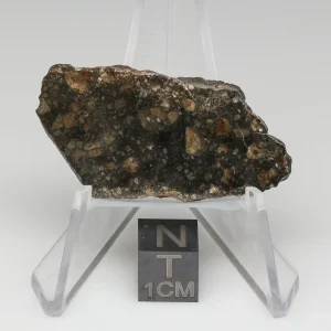 NWA 10964 Lunar Meteorite 5.50g