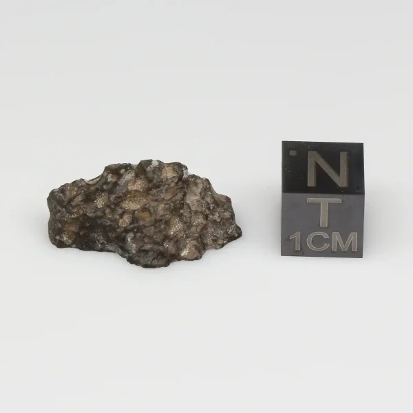NWA 10964 Lunar Meteorite 2.18g