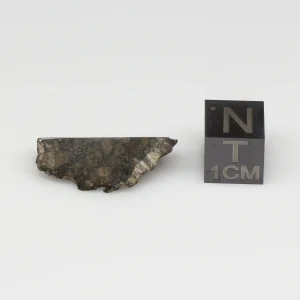 NWA 10964 Lunar Meteorite 2.18g