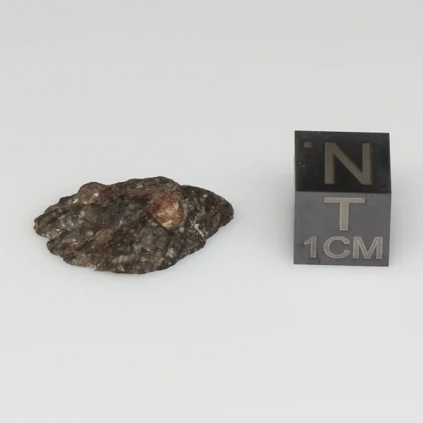 NWA 10964 Lunar Meteorite 1.58g End Cut