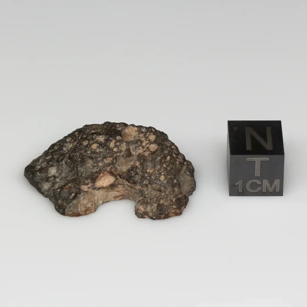 NWA 10964 Lunar Meteorite 7.29g End Cut