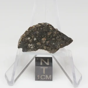 NWA 10964 Lunar Meteorite 2.79g