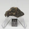 NWA 10964 Lunar Meteorite 2.77g