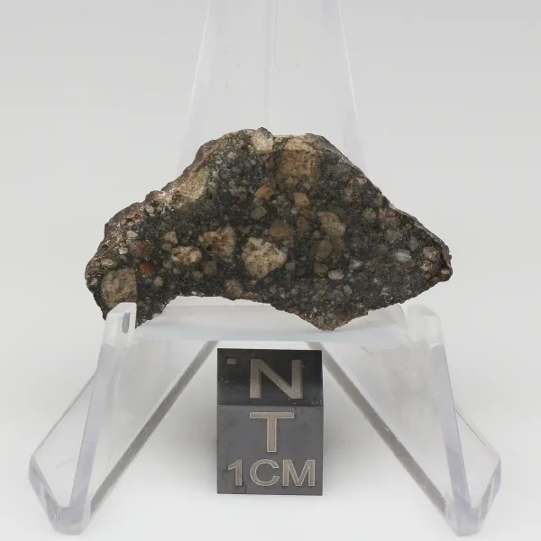NWA 10964 Lunar Meteorite 2.77g