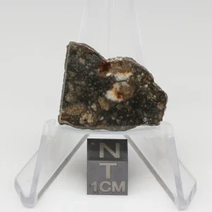 NWA 10964 Lunar Meteorite 3.64g