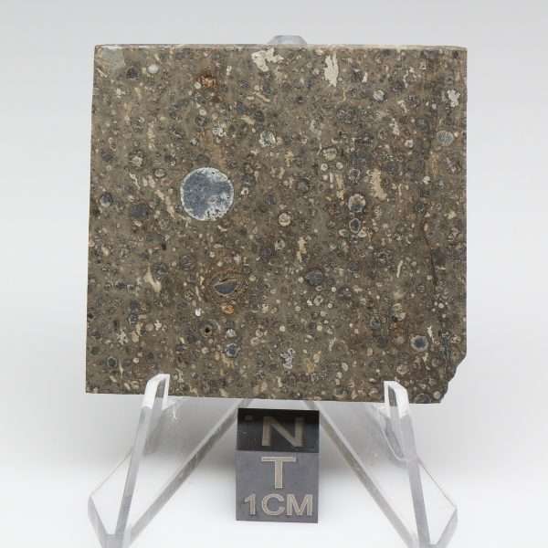NWA 14743 Meteorite 14.0g