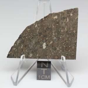 NWA 14743 Meteorite 9.6g