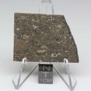 NWA 14743 Meteorite 9.9g