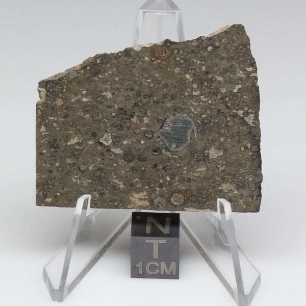 NWA 14743 Meteorite 11.2g