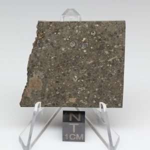 NWA 14743 Meteorite 10.5g