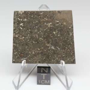NWA 14743 Meteorite 12.8g