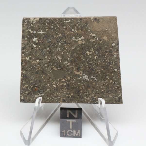 NWA 14743 Meteorite 12.8g