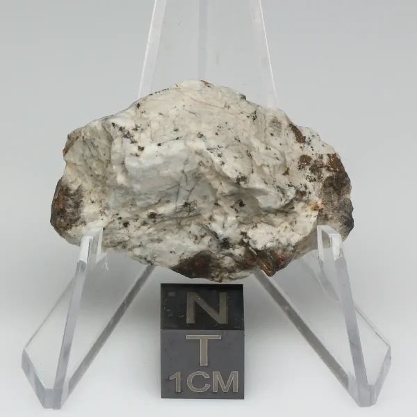 Djoua 001 Aubrite Meteorite 9.2g End Cut