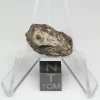 Djoua 001 Aubrite Meteorite 3.8g End Cut