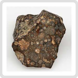 NWA 14353 CVred3 Meteorite